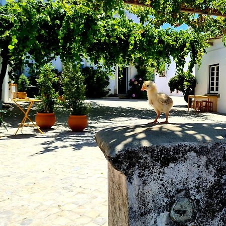 Oryza Guest House& Suites Coimbra Kültér fotó