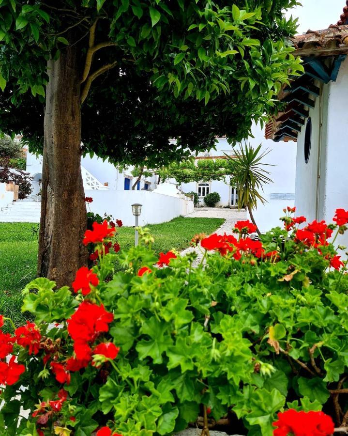 Oryza Guest House& Suites Coimbra Kültér fotó