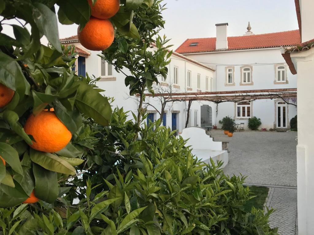 Oryza Guest House& Suites Coimbra Kültér fotó