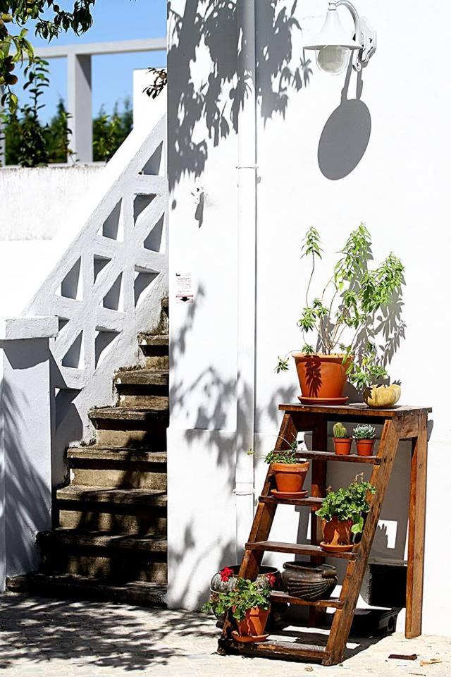 Oryza Guest House& Suites Coimbra Kültér fotó