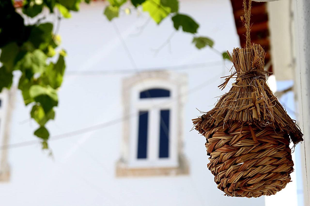 Oryza Guest House& Suites Coimbra Kültér fotó